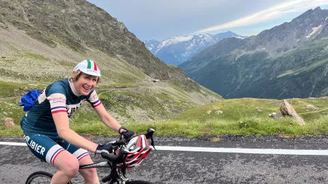 Gavia