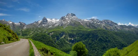 Pyreneene IV