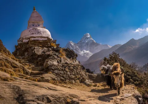 Tibet