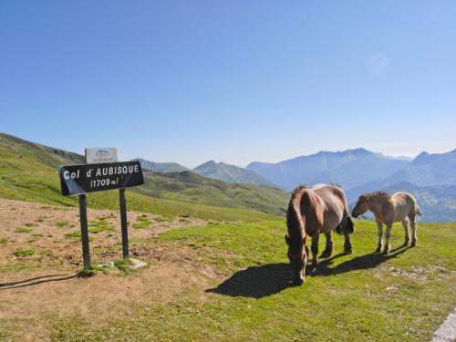 Tourmalet II